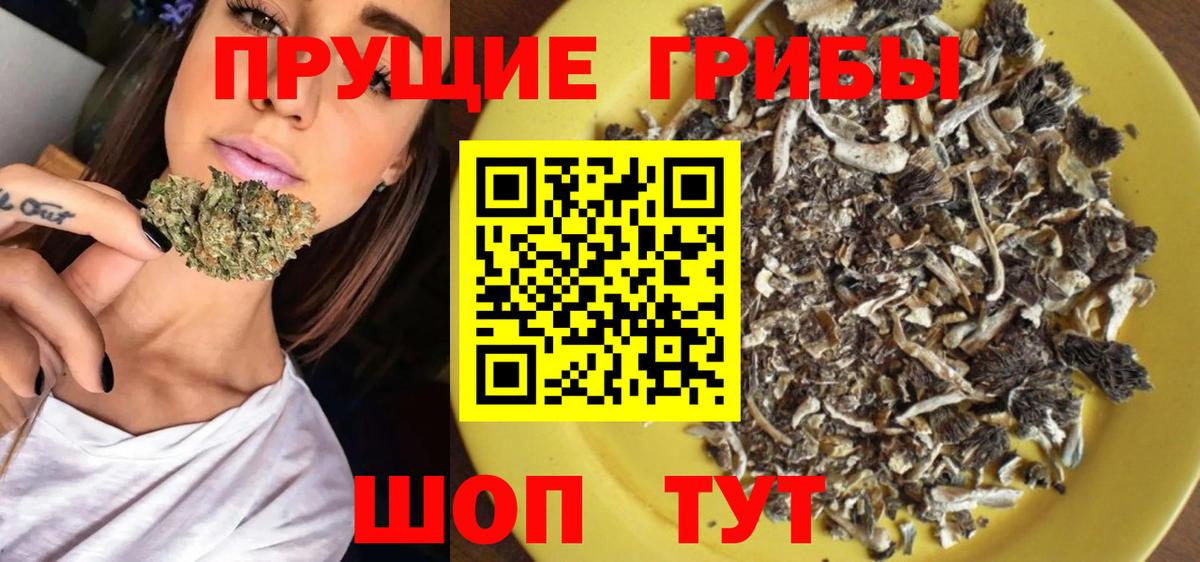 Псилоцибиновые грибы ЛСД Торжок
